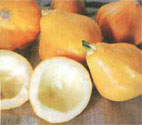 Papaya Pear summer squash.